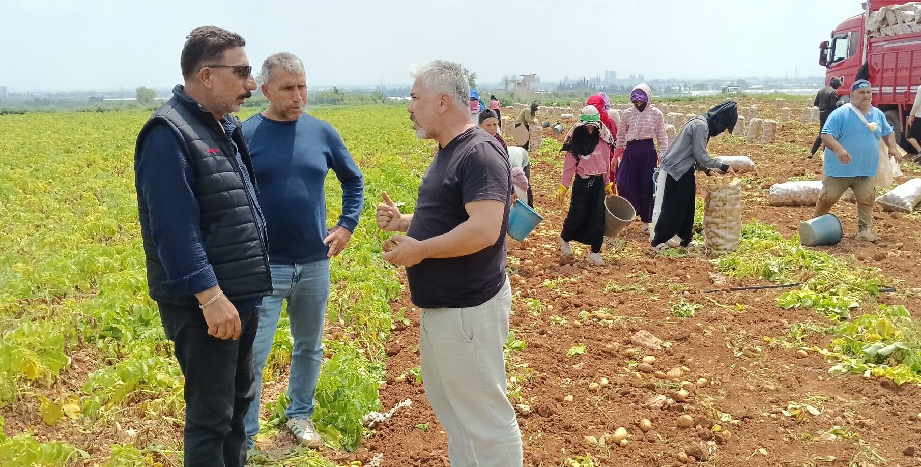 Adana’da Üretici Çıkmazda İşçilik %200 Arttı, Rekolte Düştü (2)