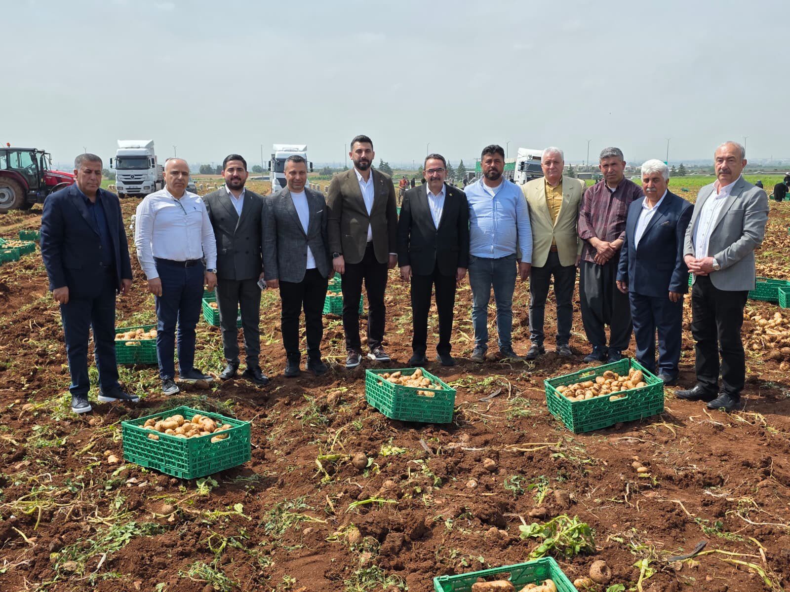 Ak Parti Adana Milletvekili Doğru Çukurova’da Hasada Katıldı (1)