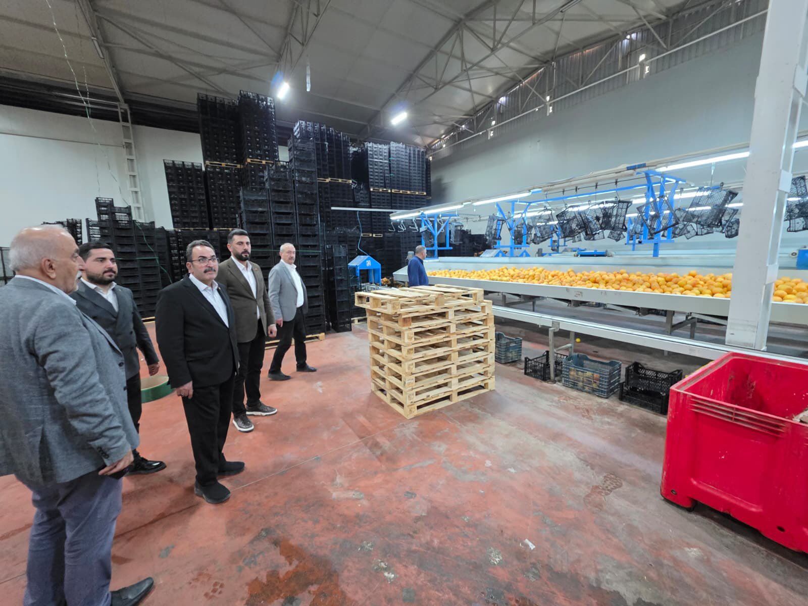 Ak Parti Adana Milletvekili Doğru Çukurova’da Hasada Katıldı (3)