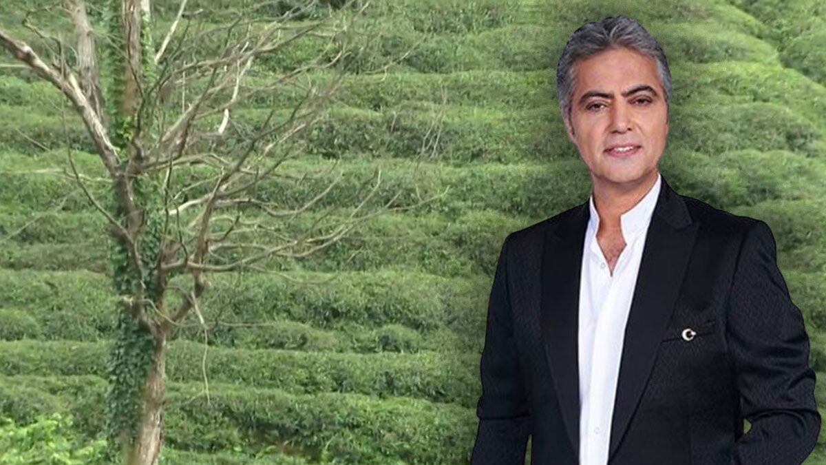 Cengiz Kurtoğlu Rize Hasat 1
