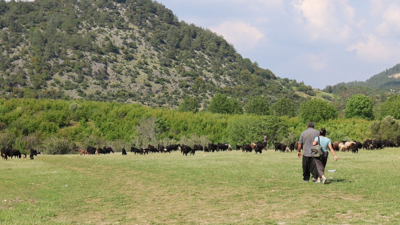 Geçen Yıl Kuruma Noktasındaydı Kozan Barajı Yüzde 84’E Ulaştı (1)