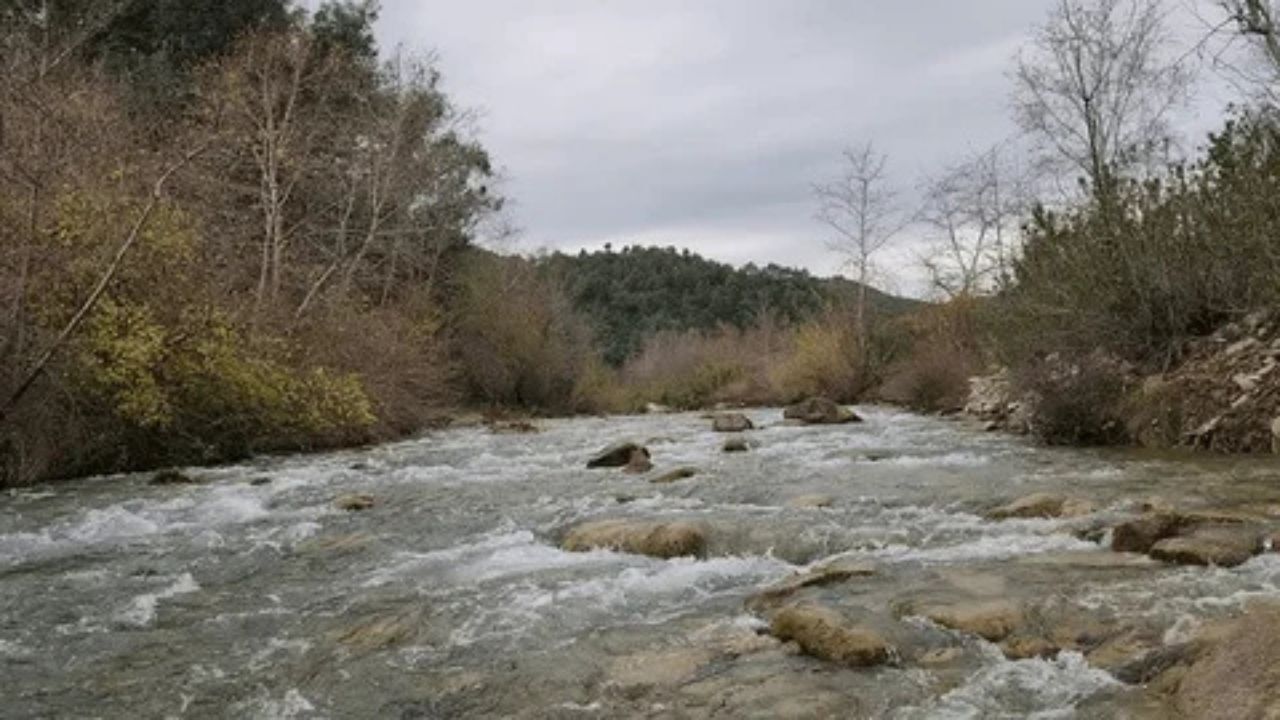 Karaisalı Belediyesi’nden Dere Ve Çaylar Için Hayati Uyarı
