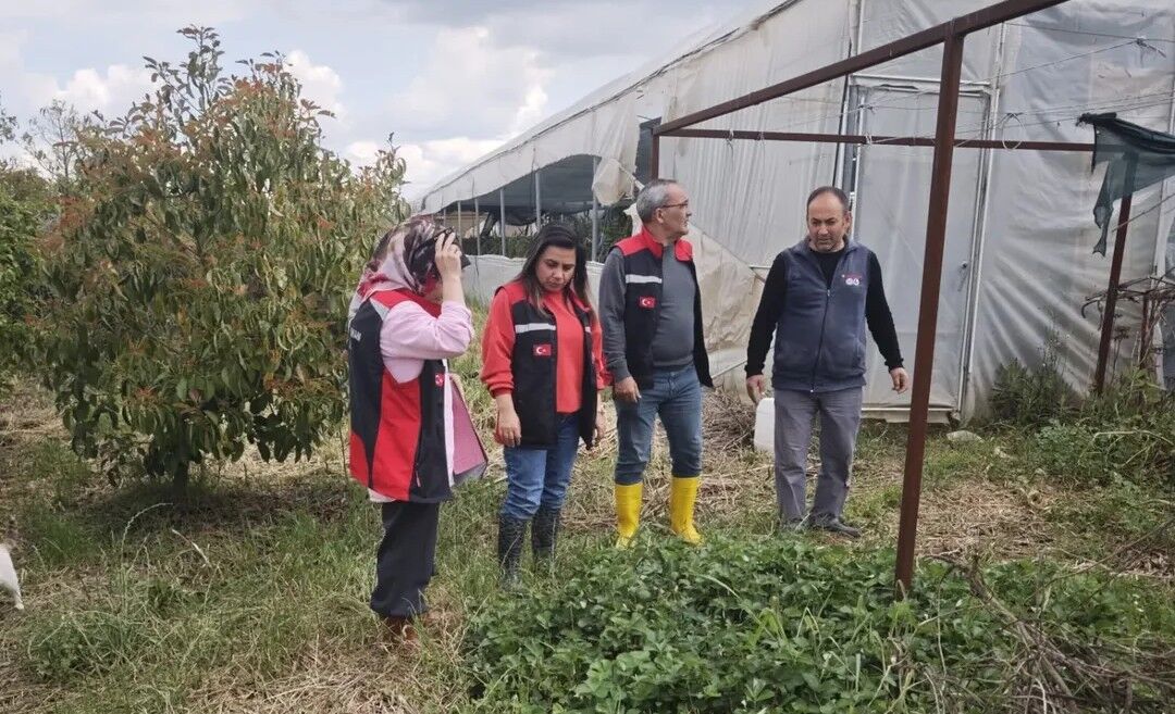 Kozan’da Üreticiler Için Zaman Daralıyor Son Gün 11 Mayıs (3)
