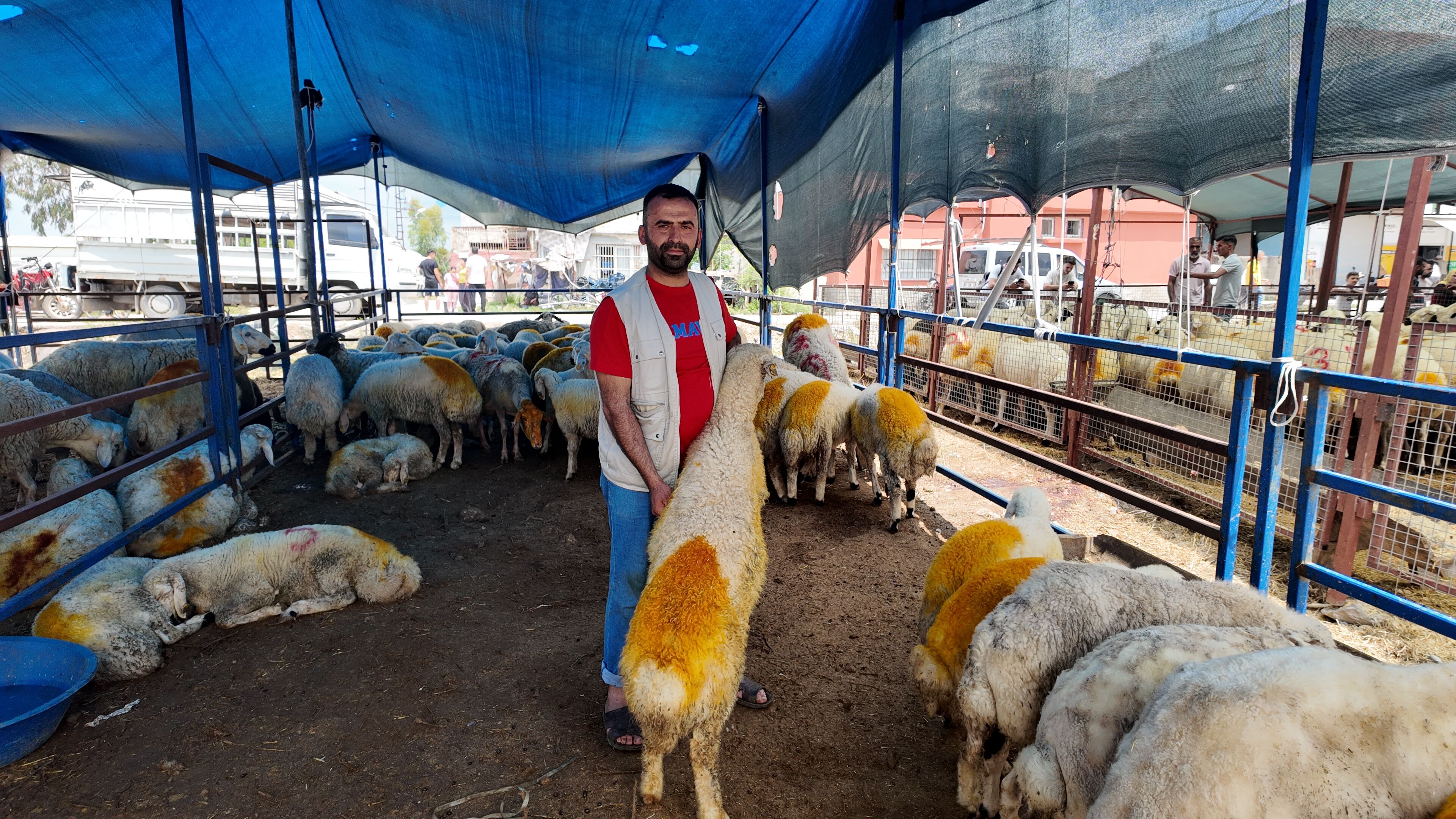 Kurbanlık Alacaklar Dikkat Paranız Çöpe Gitmesin!-2