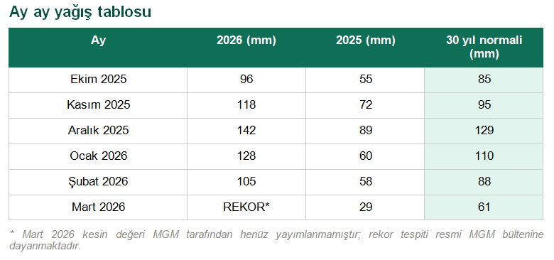 Yağış (2)-7