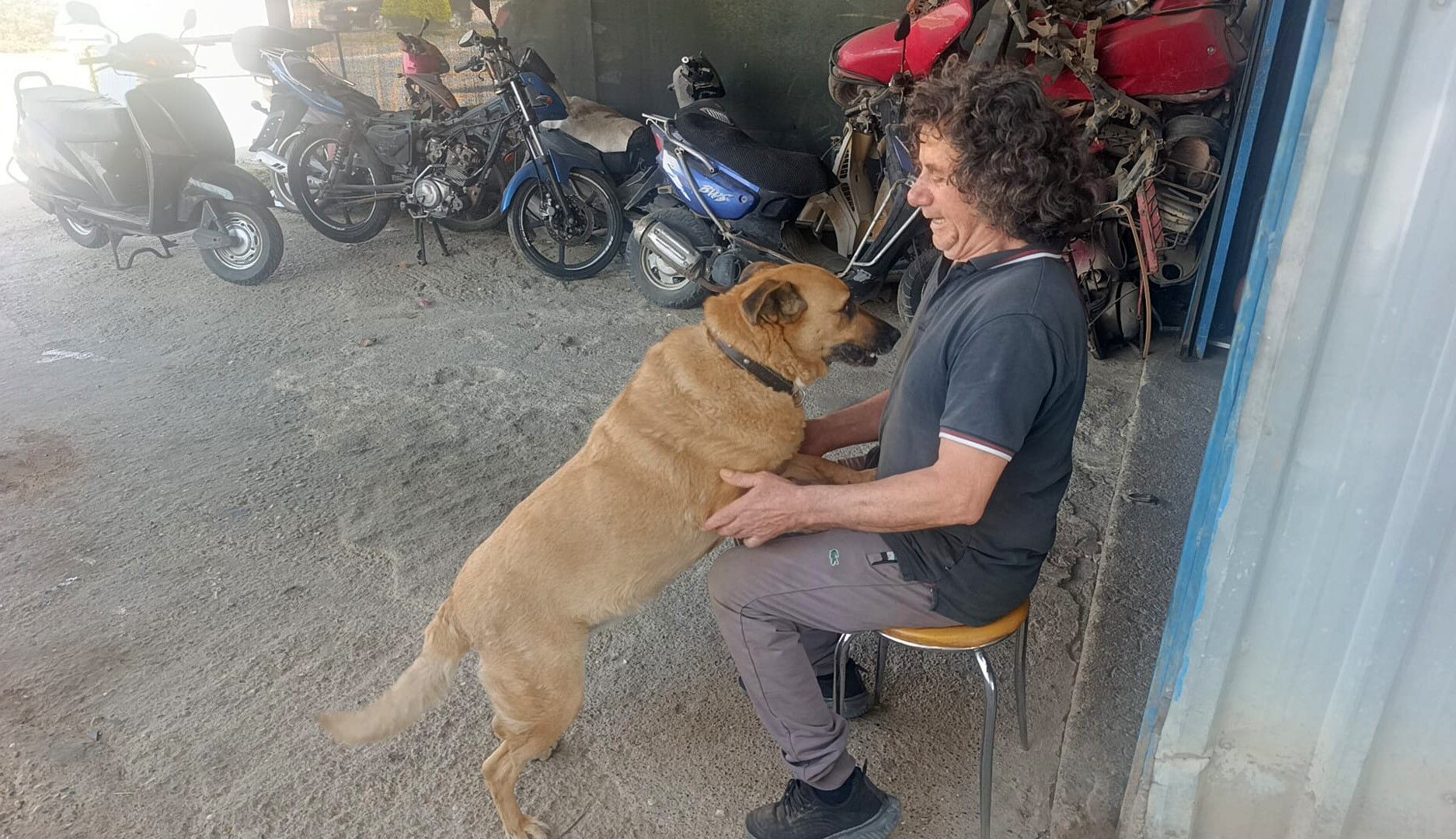 13 Yıllık Vefa Hikayesi! Görmeyen Köpeğine 13 Yıldır Bakıyor (2)