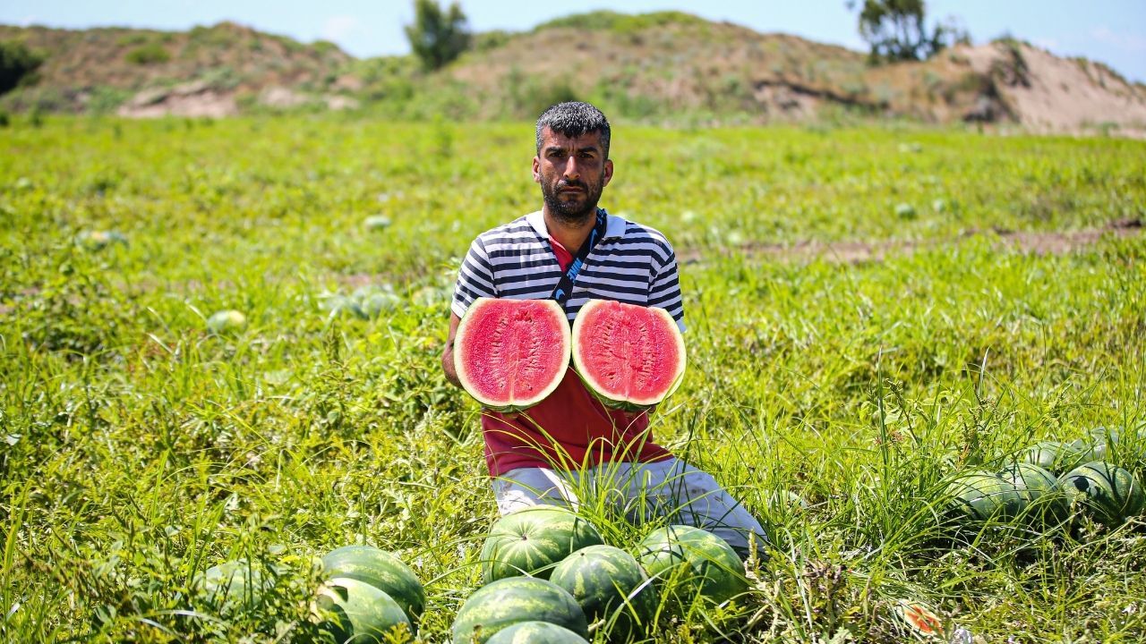 Adana Karpuzunda Fiyat Şoku! 25 Liradan 18 Liraya Düştü (3)