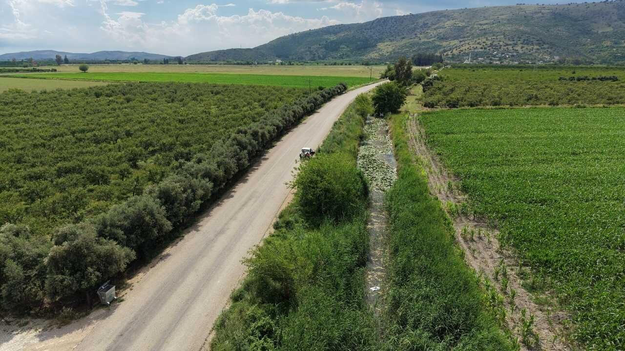 Adana'da Açan Sarı Nilüferler Hayran Bıraktı (2)