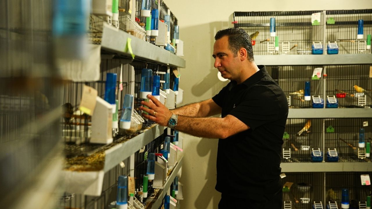 Adana’da Bir Kuşla Başladı, 40’Tan Fazla Kupa Kazandı (4)