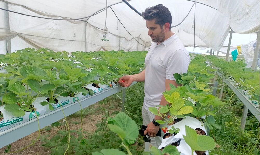 Adana’da Geliştirildi! Türk Tarımına Çağ Atlatacak Sistem (2)