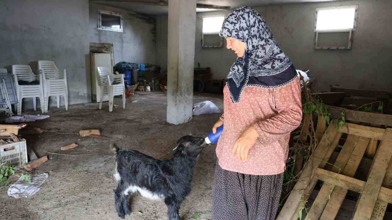 Adana’da Sevgi Engel Tanımadı Görme Engelli Oğlağı Evladı Gibi Büyüttü (1)