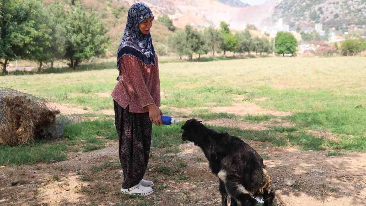 Adana’da Sevgi Engel Tanımadı Görme Engelli Oğlağı Evladı Gibi Büyüttü (3)