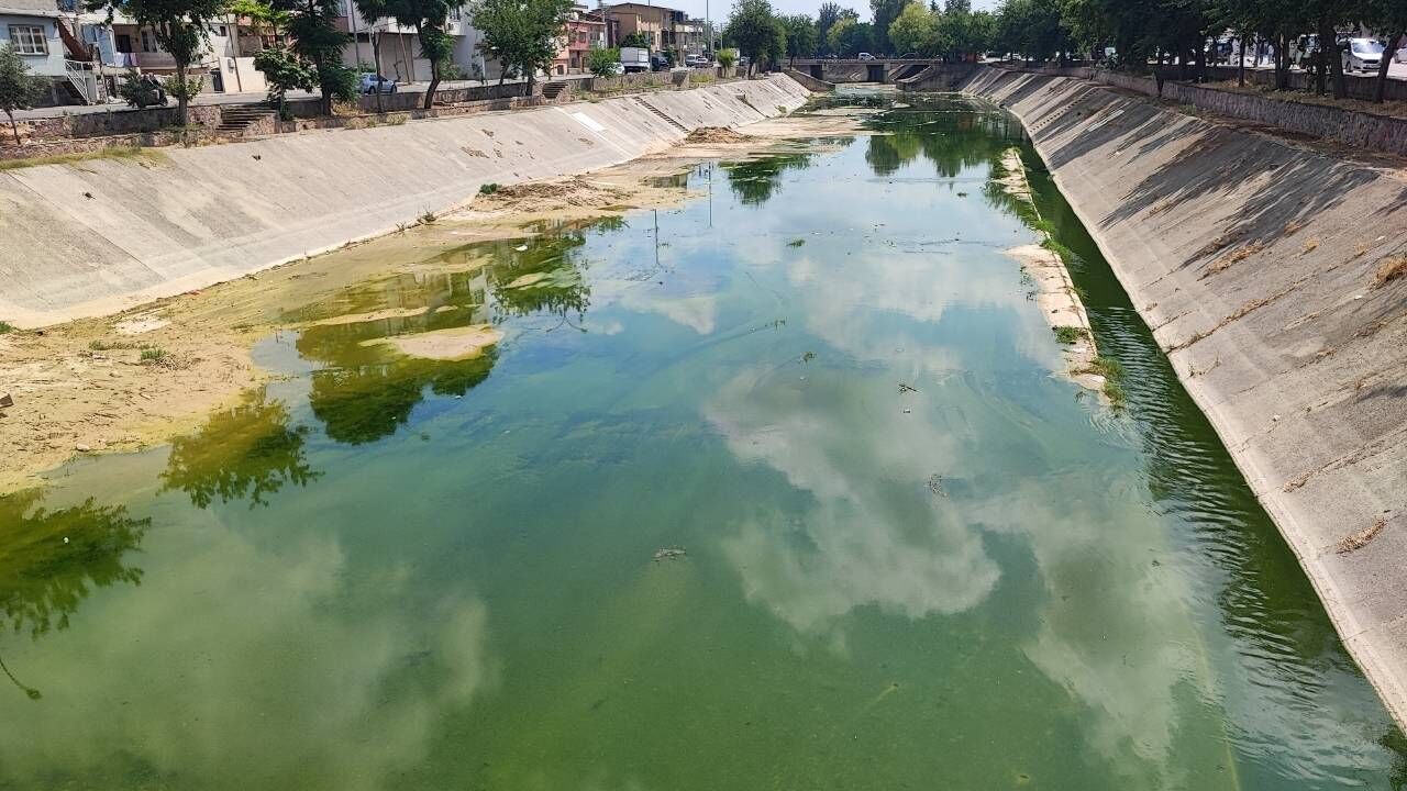 Adana'da Vatandaşlar Koku Ve Sivrisinek Çilesi Büyüyo (1)