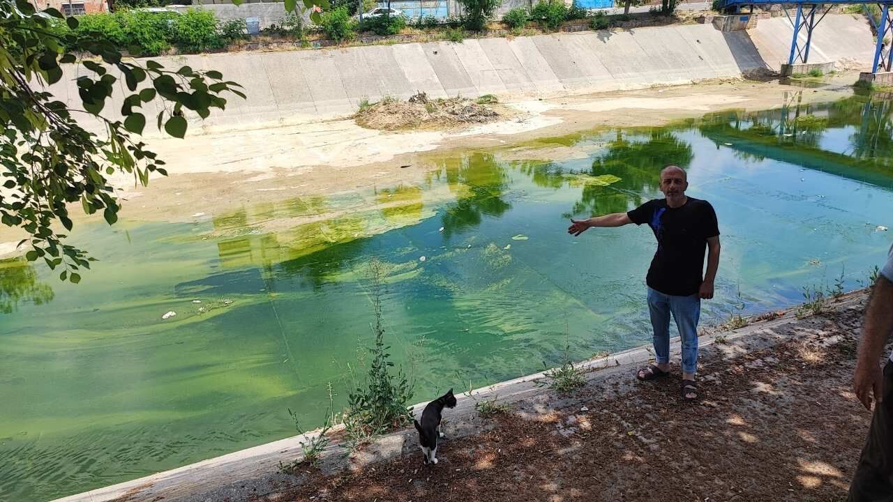 Adana'da Vatandaşlar Koku Ve Sivrisinek Çilesi Büyüyo (2)