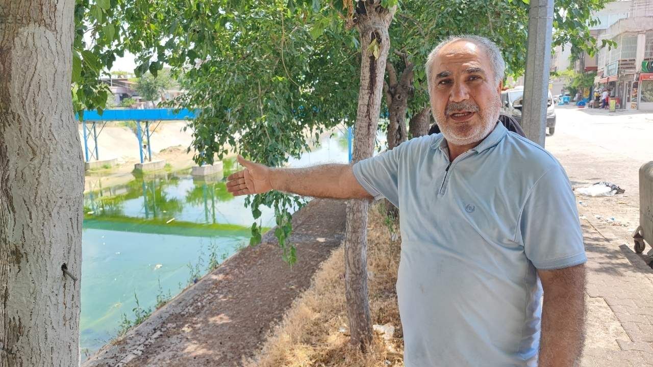 Adana'da Vatandaşlar Koku Ve Sivrisinek Çilesi Büyüyo