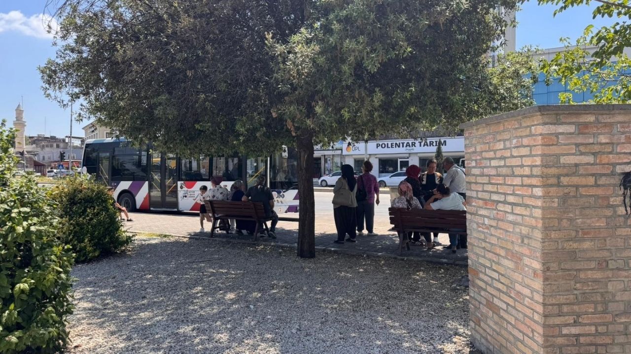 Adanasıcalıklar (3)
