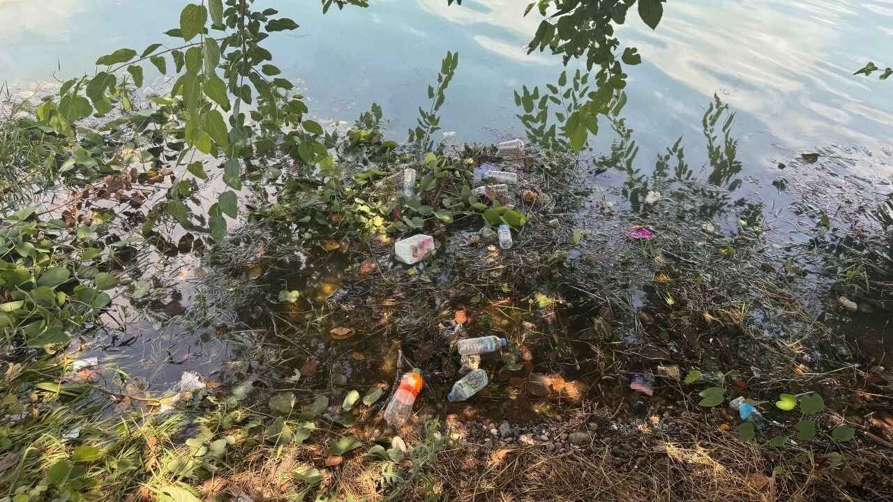 Adana'ya Yakışmayan Görüntü! Seyhan Nehri Çöplerle Kaplandı (3)