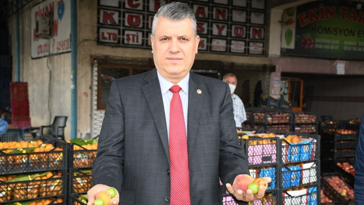 Ayhan Barut-6
