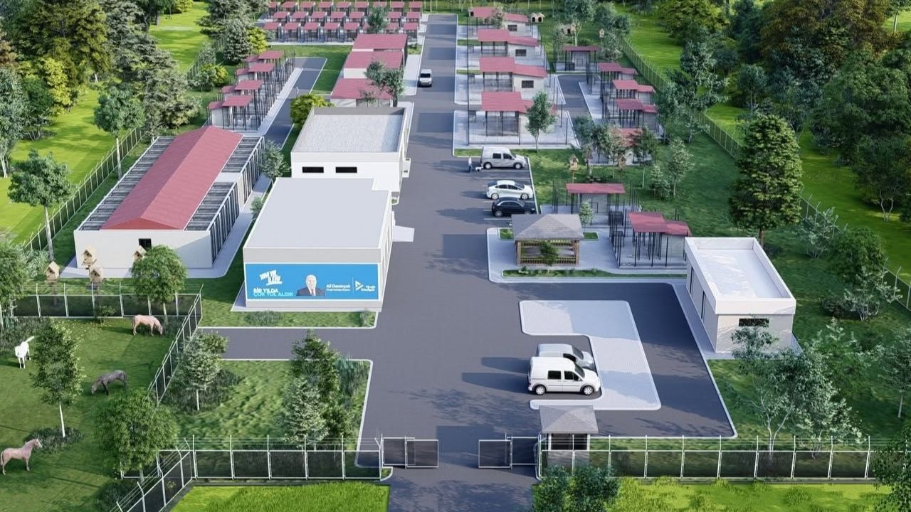 Caferboyrazhayvanbarınağıinceleme (2)