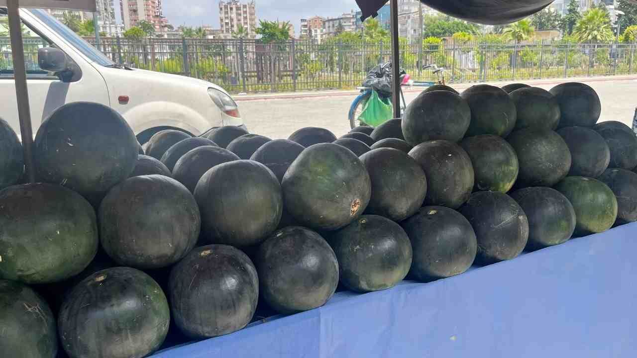 Karpuz Alırken Bunlara Dikkat Edin! Uzman Isim Tek Tek Anlattı (5)