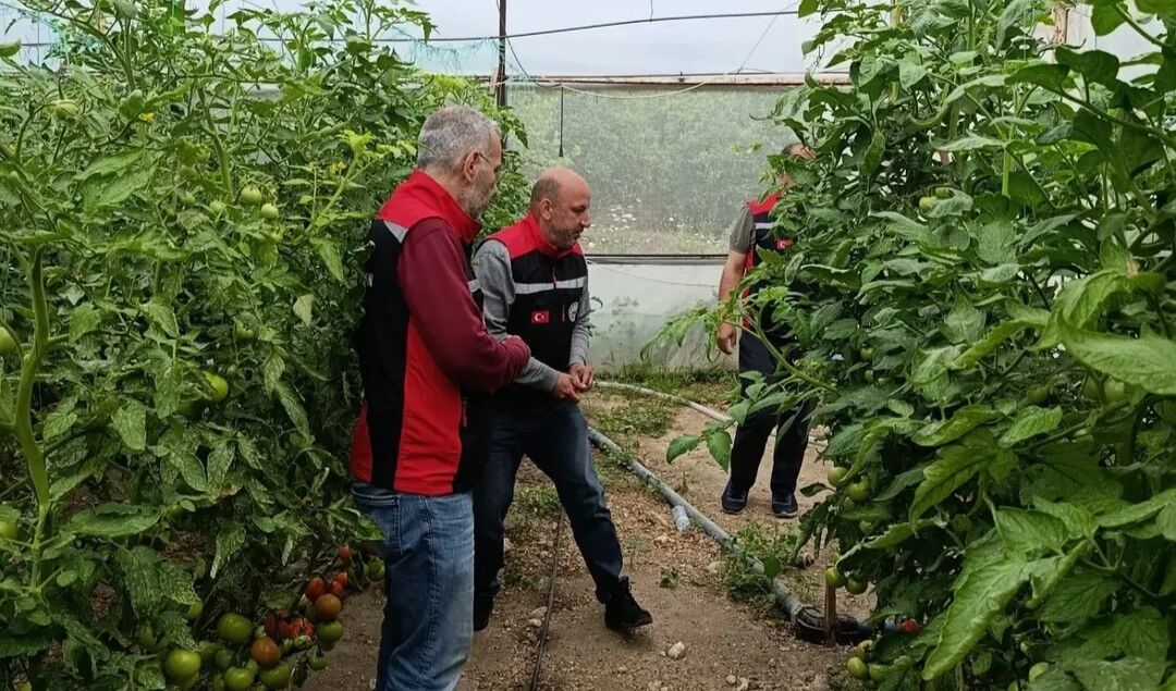 Kozan İlçe Tarım Müdürlüğü’nden Üreticiye Yakın Takip (2)