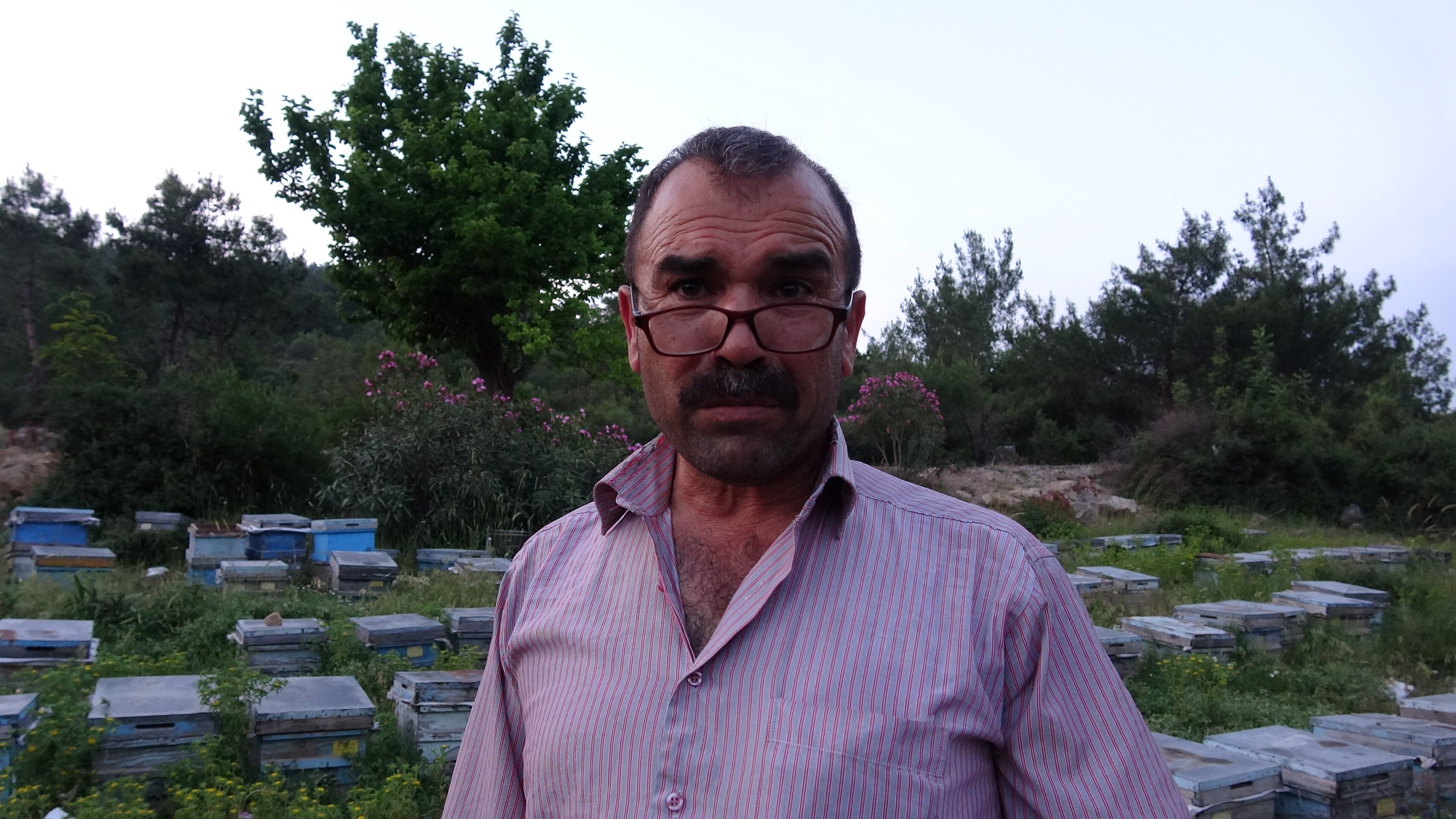 Kozan'da Arıcılar Keven Ve Kekik Balı Için Yayla Yolculuğuna Çıktı (1)