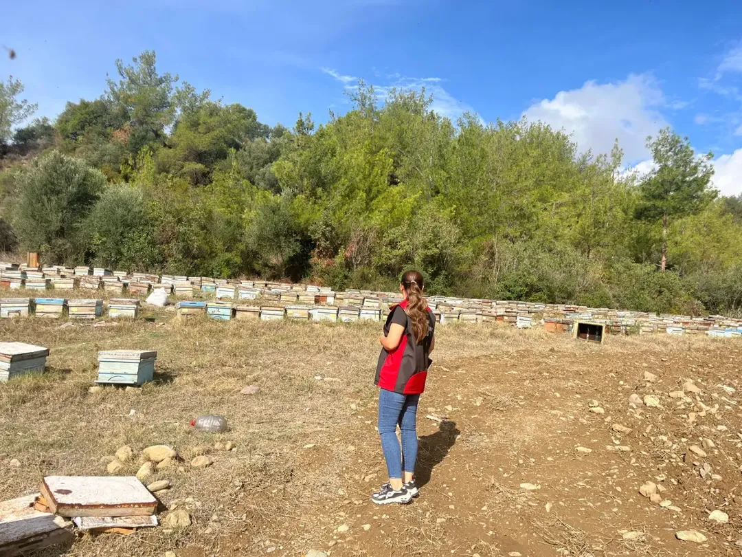 Kozan'da Arıcılara Destek Uyarısı Mağdur Olmamak Için Bu Şartlara Dikkat! (2)