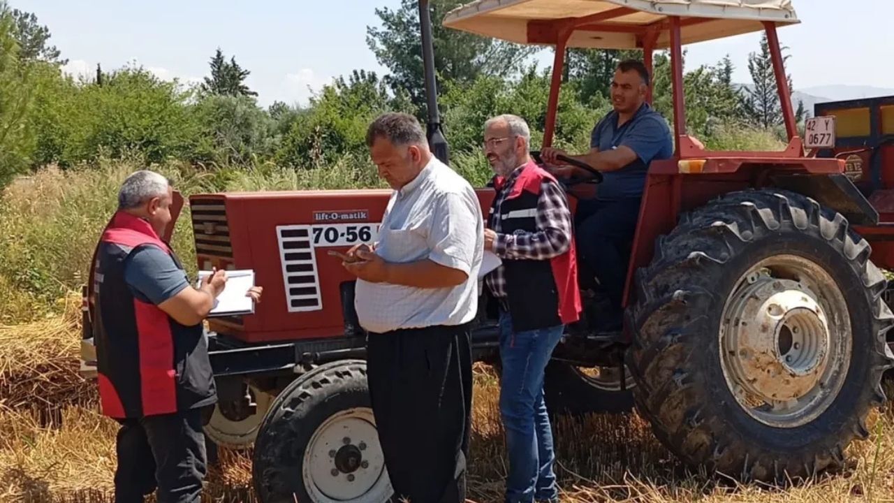 Kozan’da Hububat Hasadı Başladı Tarım Ekipleri Sahaya Indi (3)