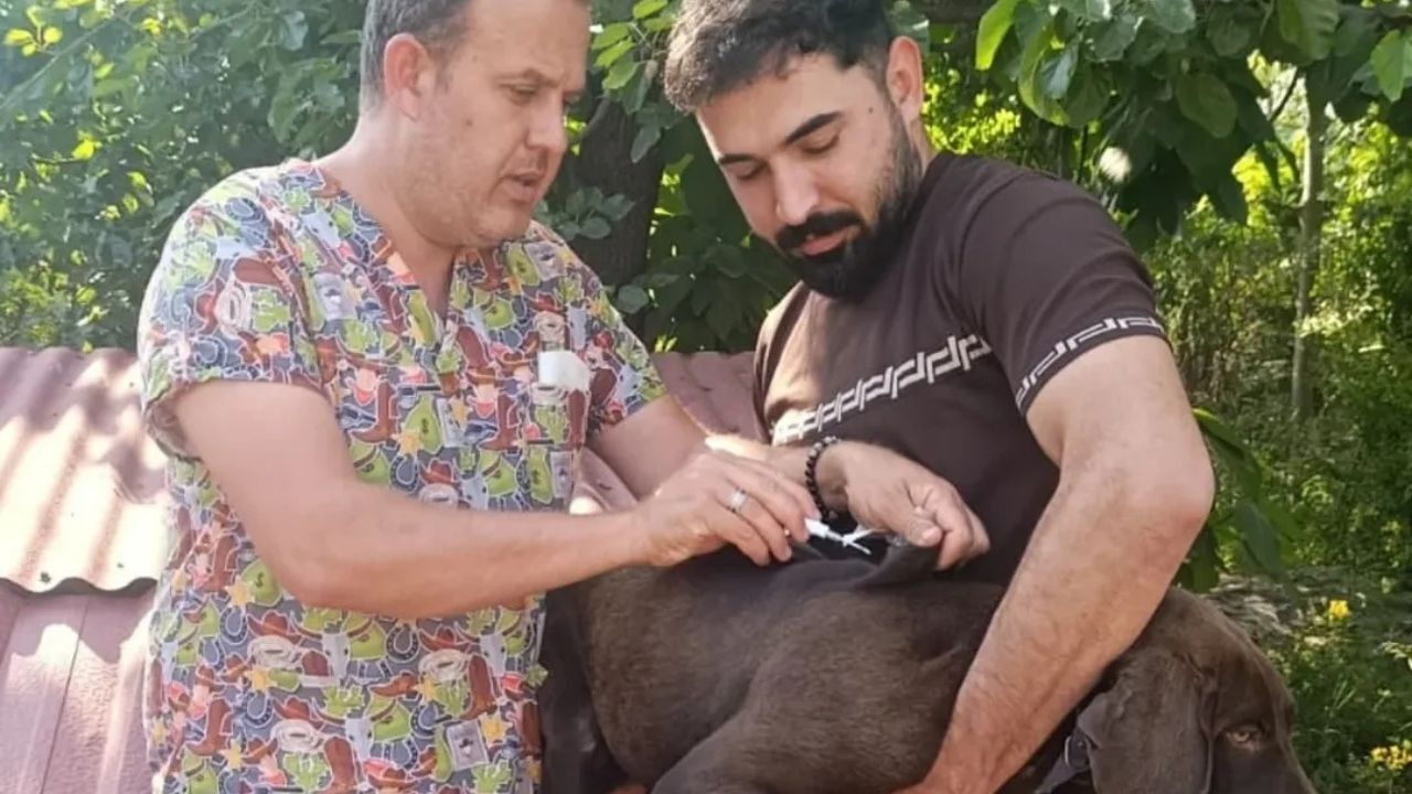 Kozan’da Köpekler Için Mikroçip Uygulaması Sürüyor (2)