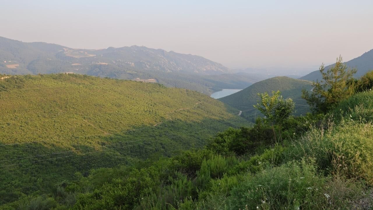 Kozan’daki Yangın Alanı 6 Yılda Yeniden Yeşerdi (1)