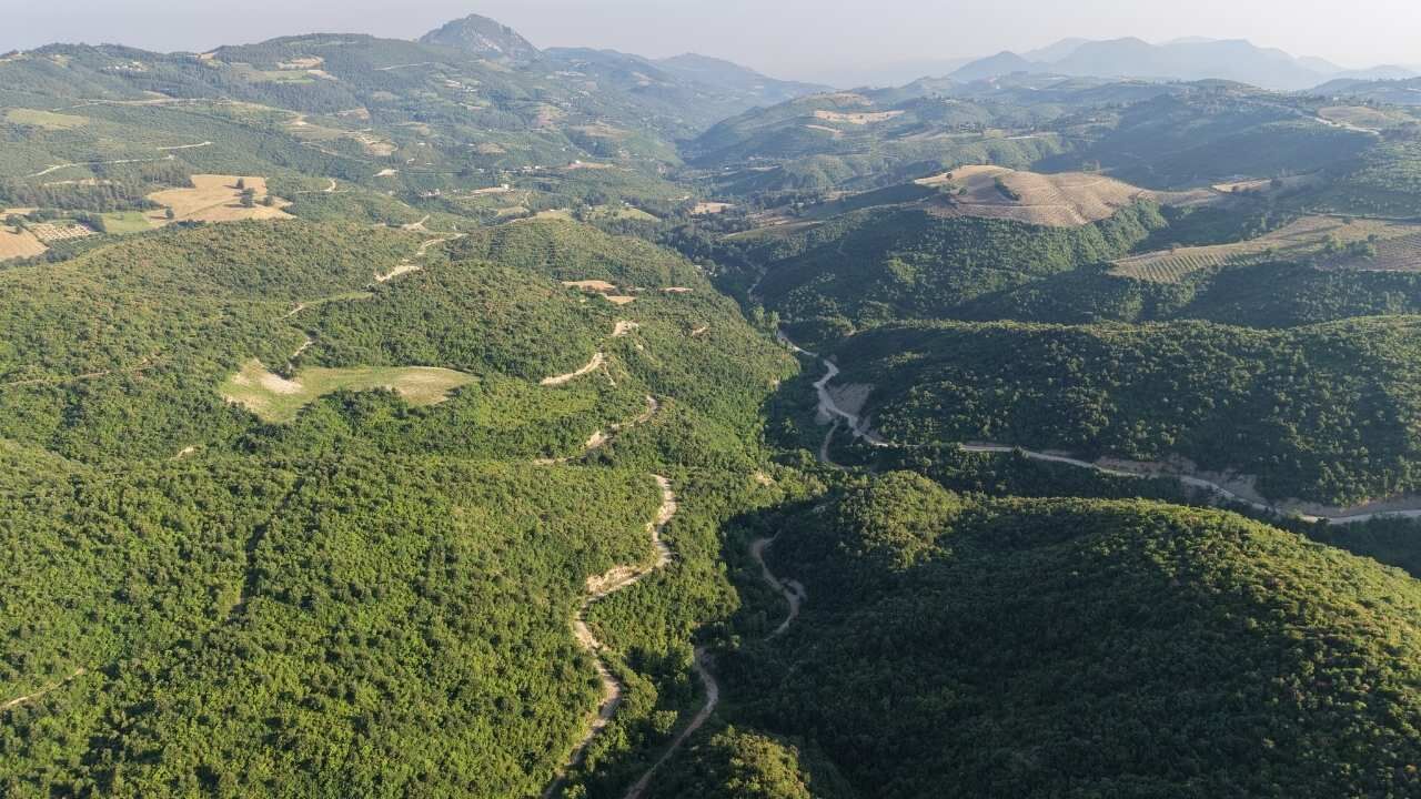Kozan’daki Yangın Alanı 6 Yılda Yeniden Yeşerdi
