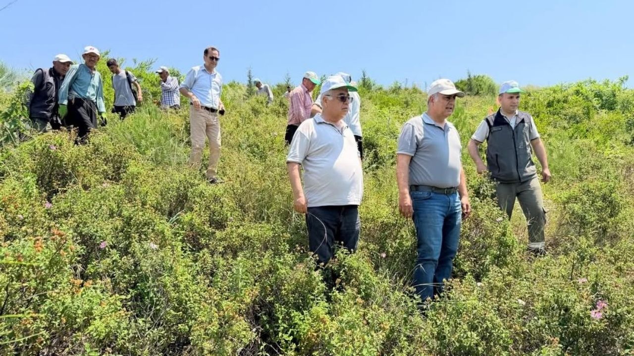 Ogmkozanormanları (2)-1