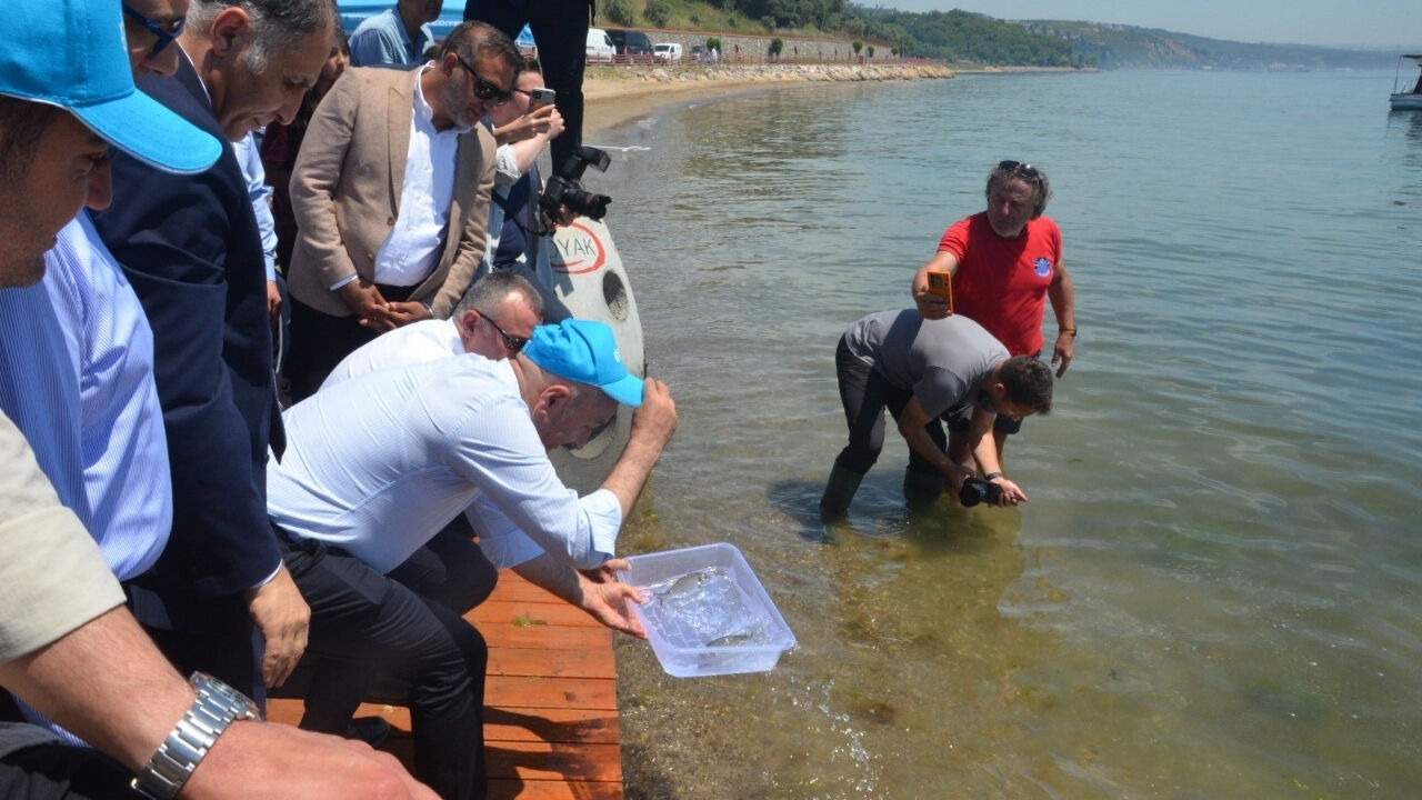 Oyak Çimento’dan Deniz Ekosistemine Güçlü Destek