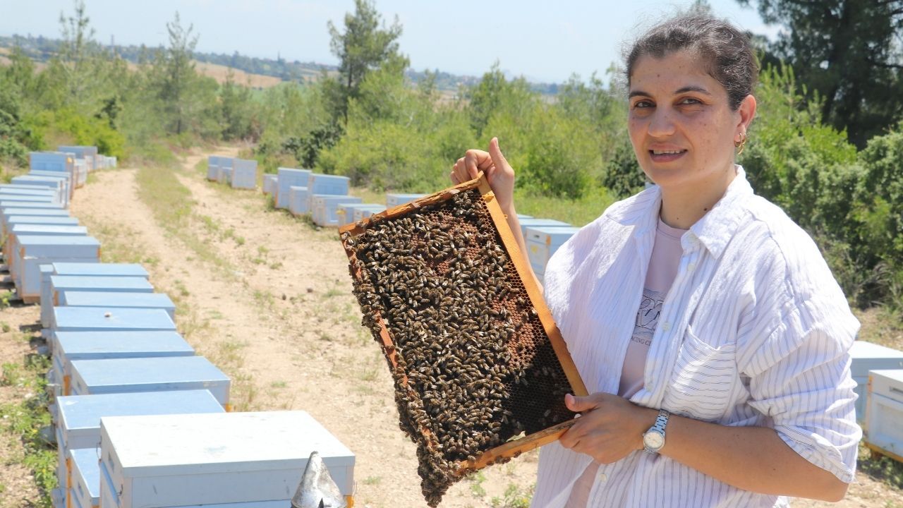 Tkdk Desteği Alan Adanalı Üretici Bal Hasadında Rekor Kırdı
