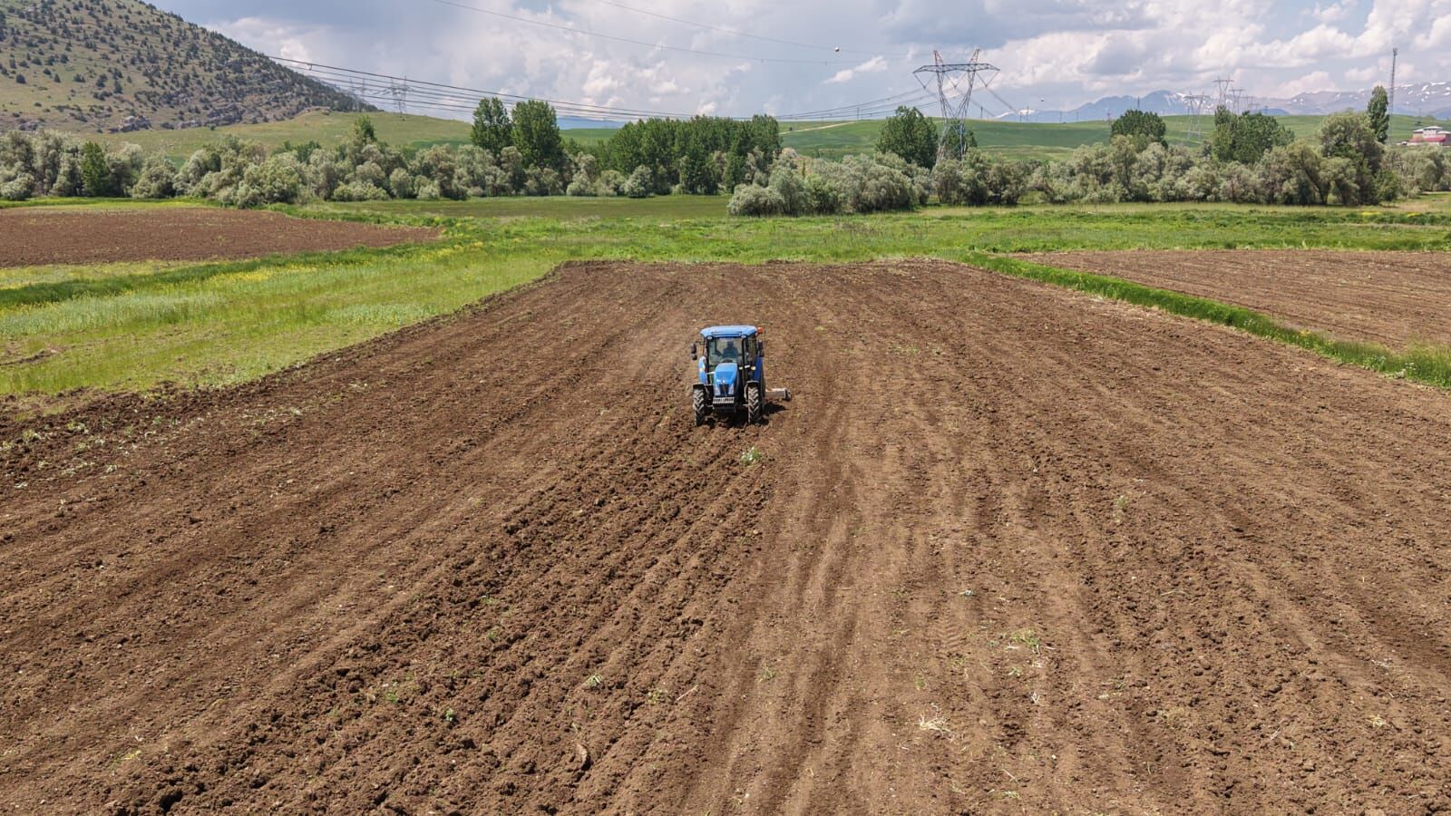 Tufanbeyli’de Ayçiçeği Mesaisi Başladı Üreticiler Tarlalara Indi (1)