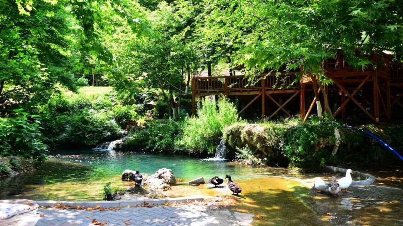 Yerköprü Mesire Alanı
