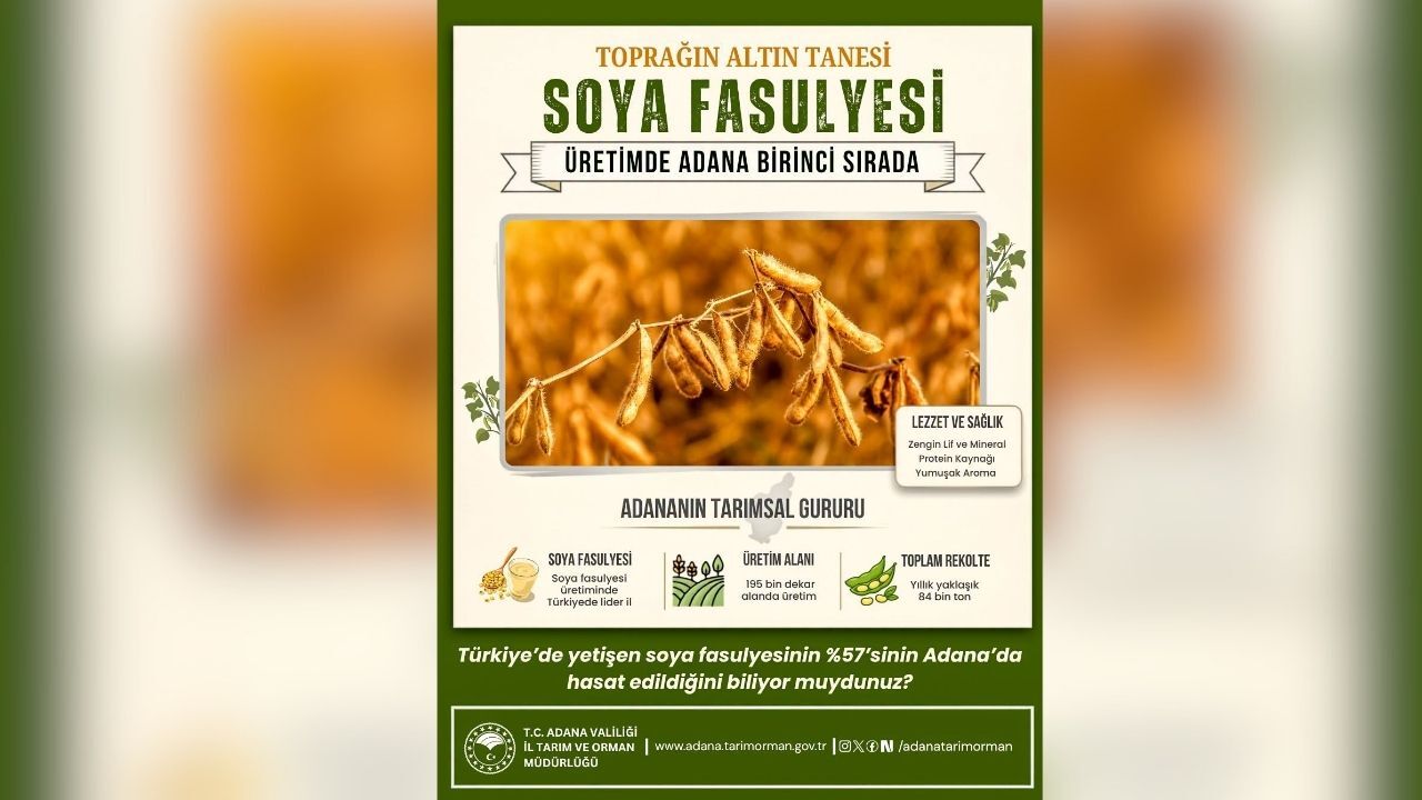 Adana Soya Fasulyesi Üretiminde Türkiye Lideri Oldu