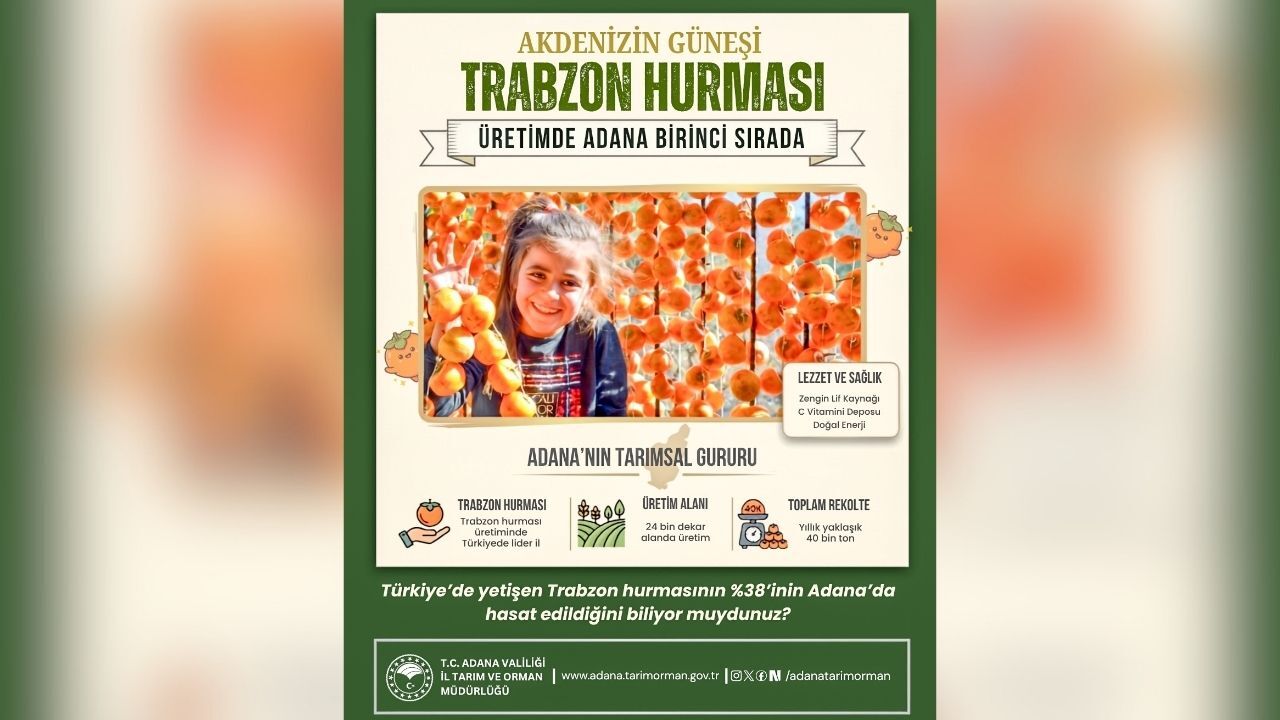 Adana, Trabzon Hurması Üretiminde Türkiye Lideri