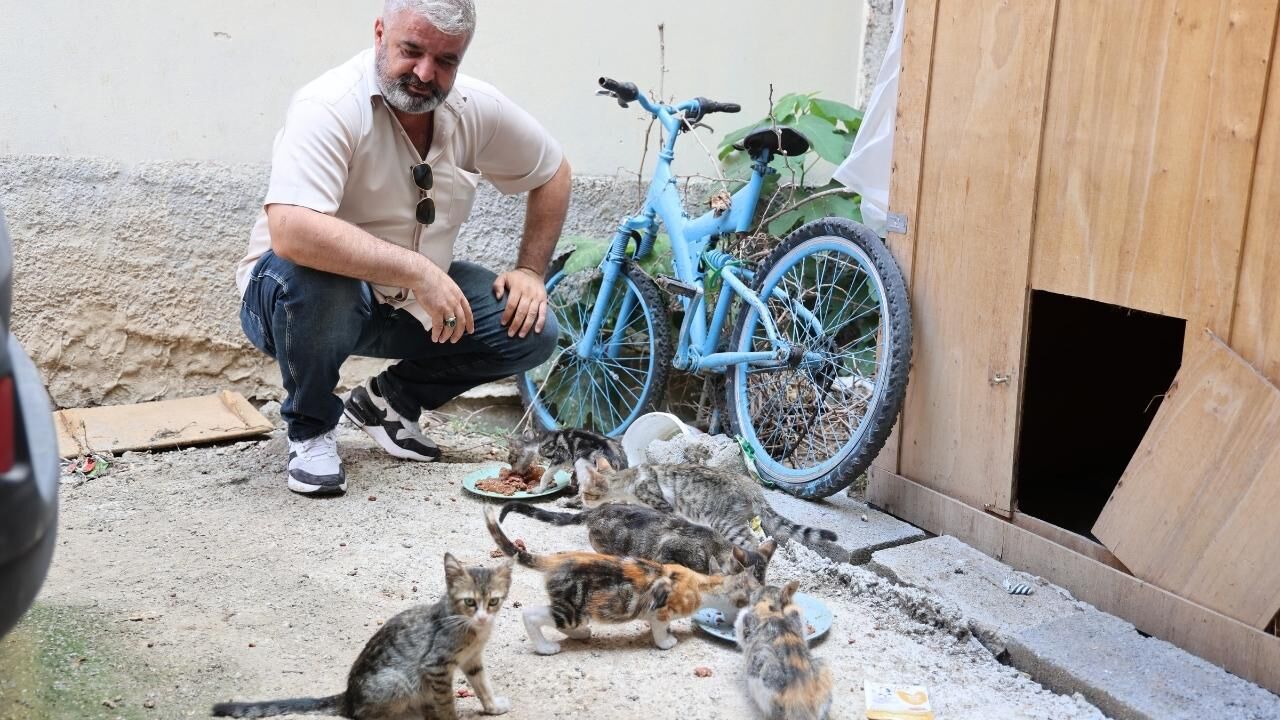 Adana'da Kedilerin Mamasını Çalan Şüpheli Kamerada (1)