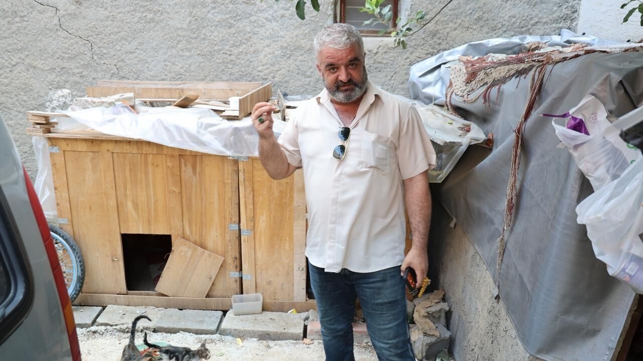 Adana'da Kedilerin Mamasını Çalan Şüpheli Kamerada