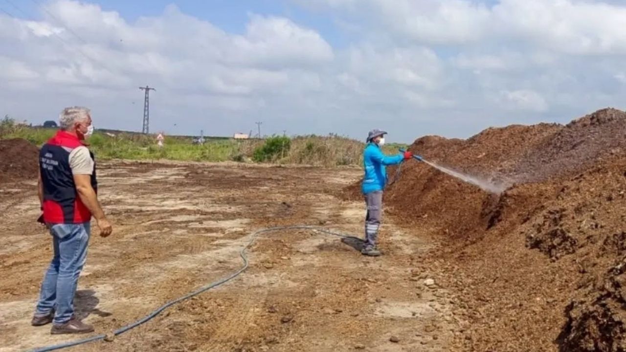 Adana'da Meyve Sineğine Karşı 250 Tuzak Kuruldu