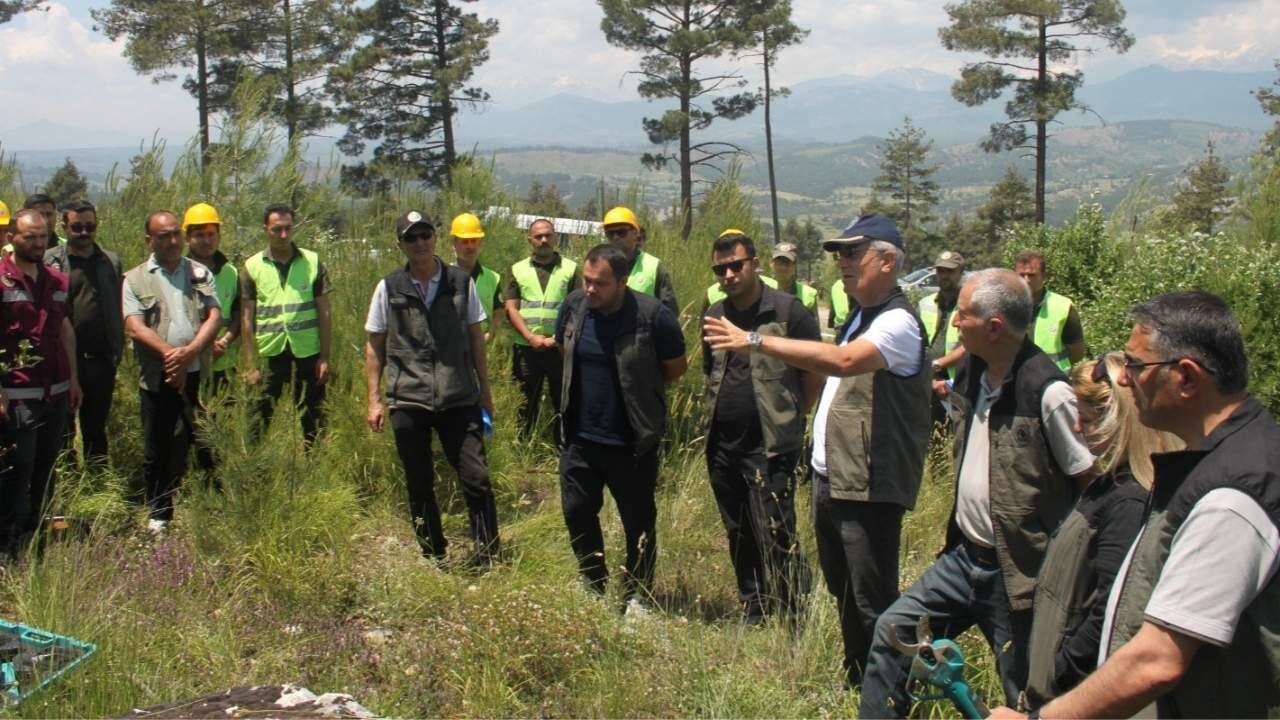 Adana'da Ormanların Geleceği Için Sahada Eğitim Seferberliği