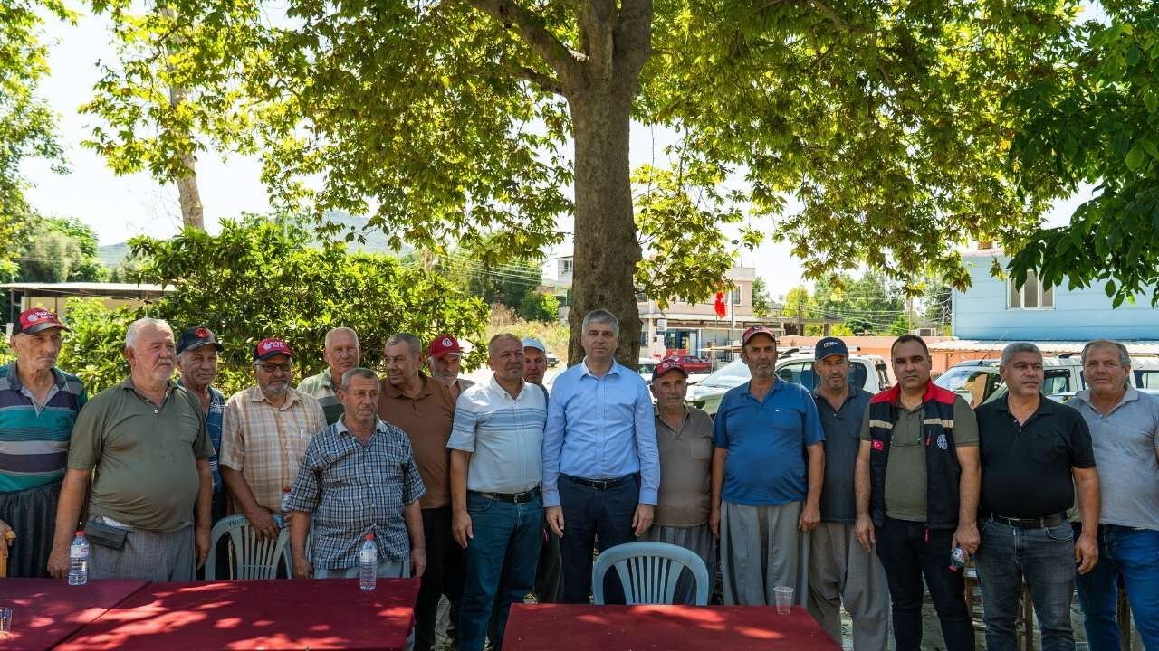 Ayçiçeği Hasadı Başladı! İl Tarım Müdürü Üreticilerin Taleplerini Sahada Dinledi
