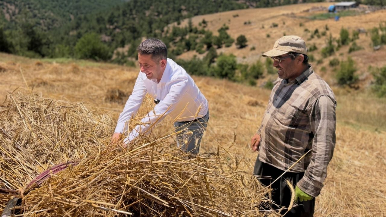 Başkan Cömert Özen Üreticilerle Tarlada Buluştu (1)