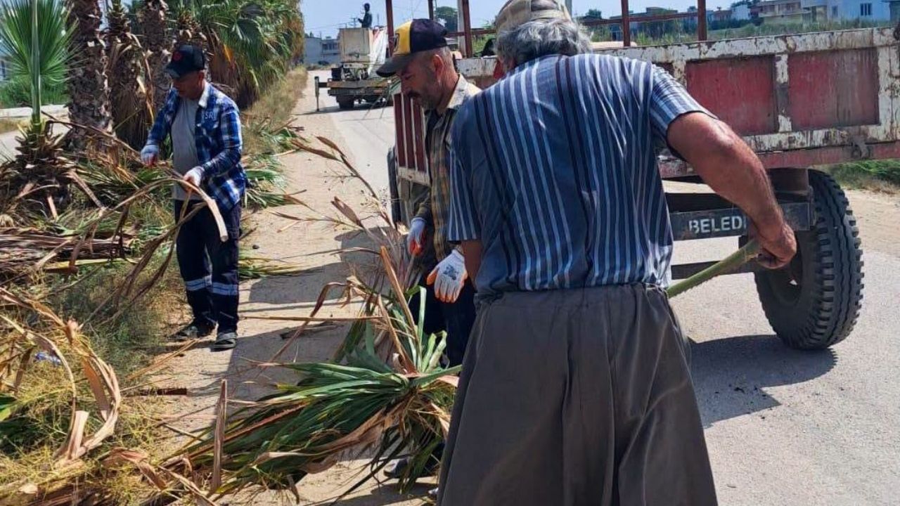 Karataş'ta Mahallelerin Yeşil Alanları Düzenli Bakımla Yenileniyor (2)