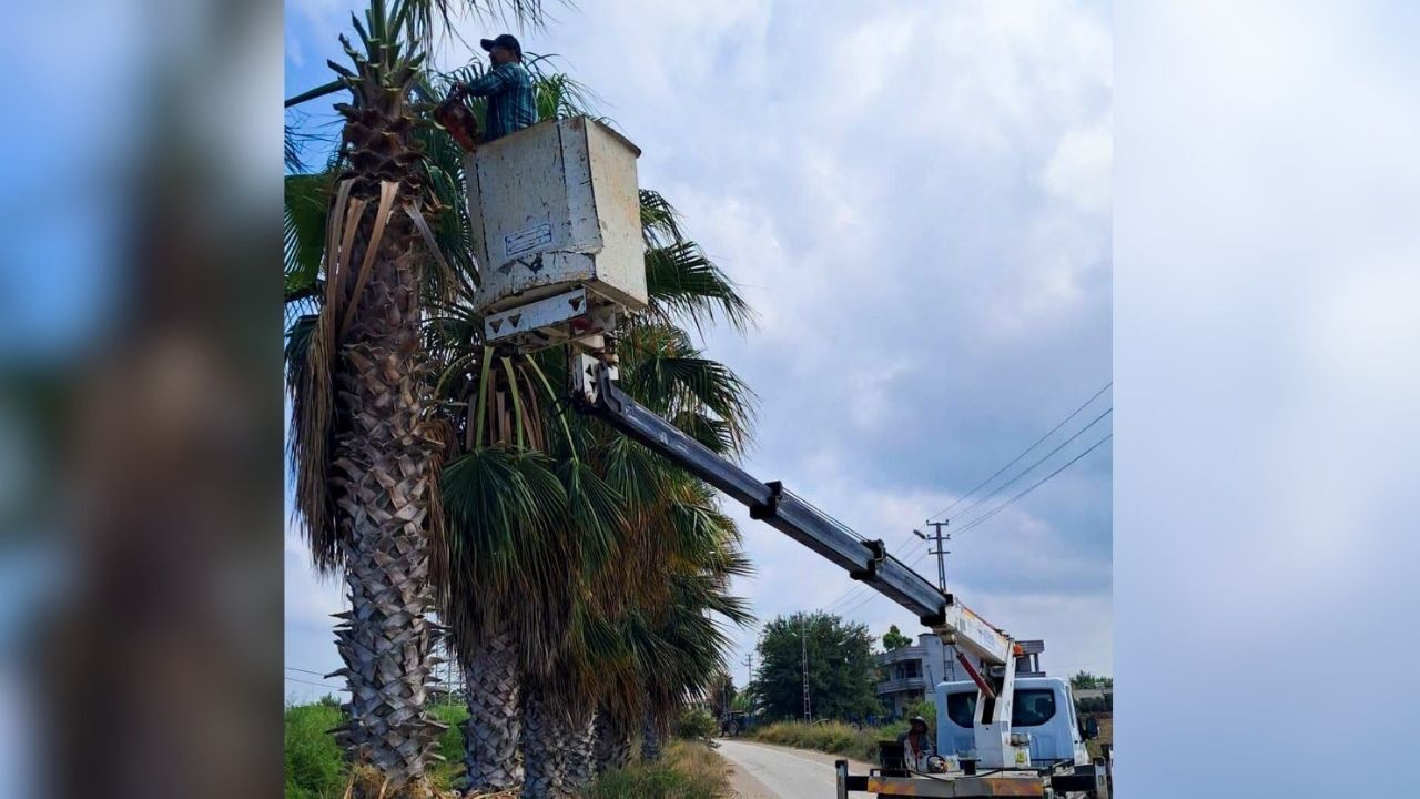 Karataş'ta Mahallelerin Yeşil Alanları Düzenli Bakımla Yenileniyor