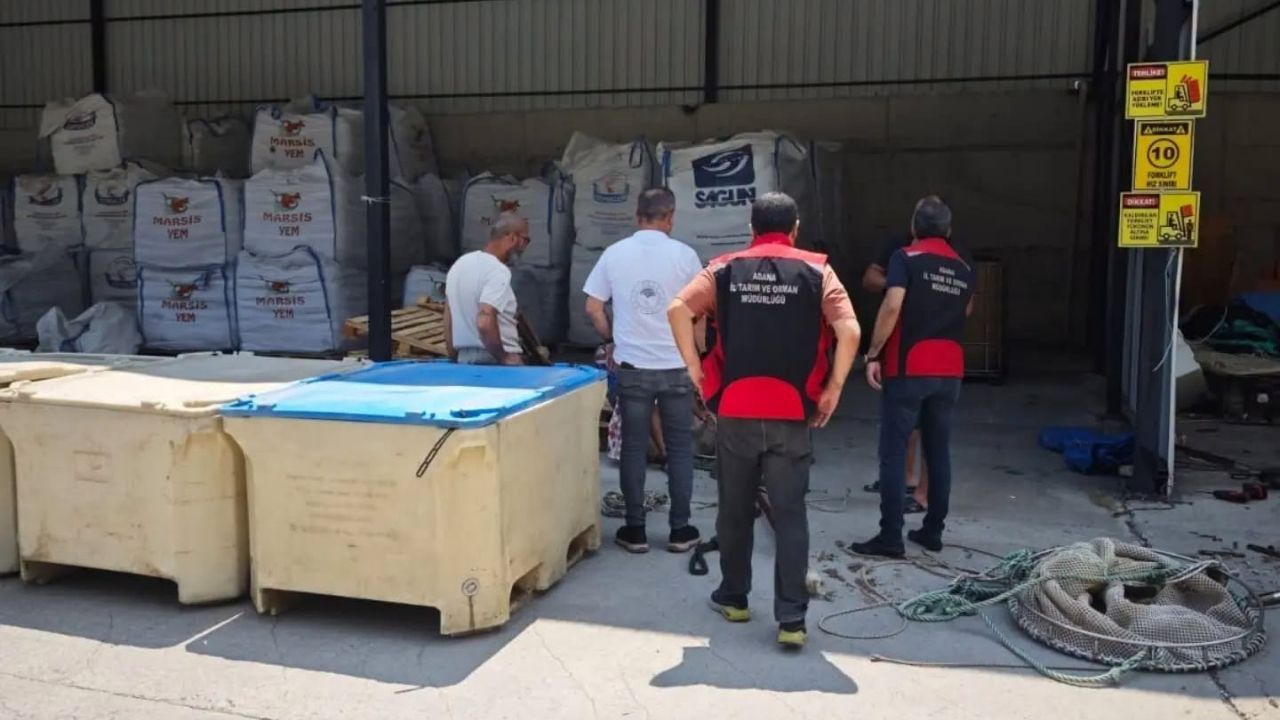 Kavşak Bendi Barajı'nda Somon Balığı Hasadı Devam Ediyor (1)