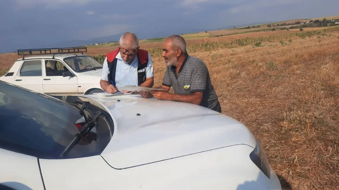 Kozan'da Nohut Hasadı Başladı (1)