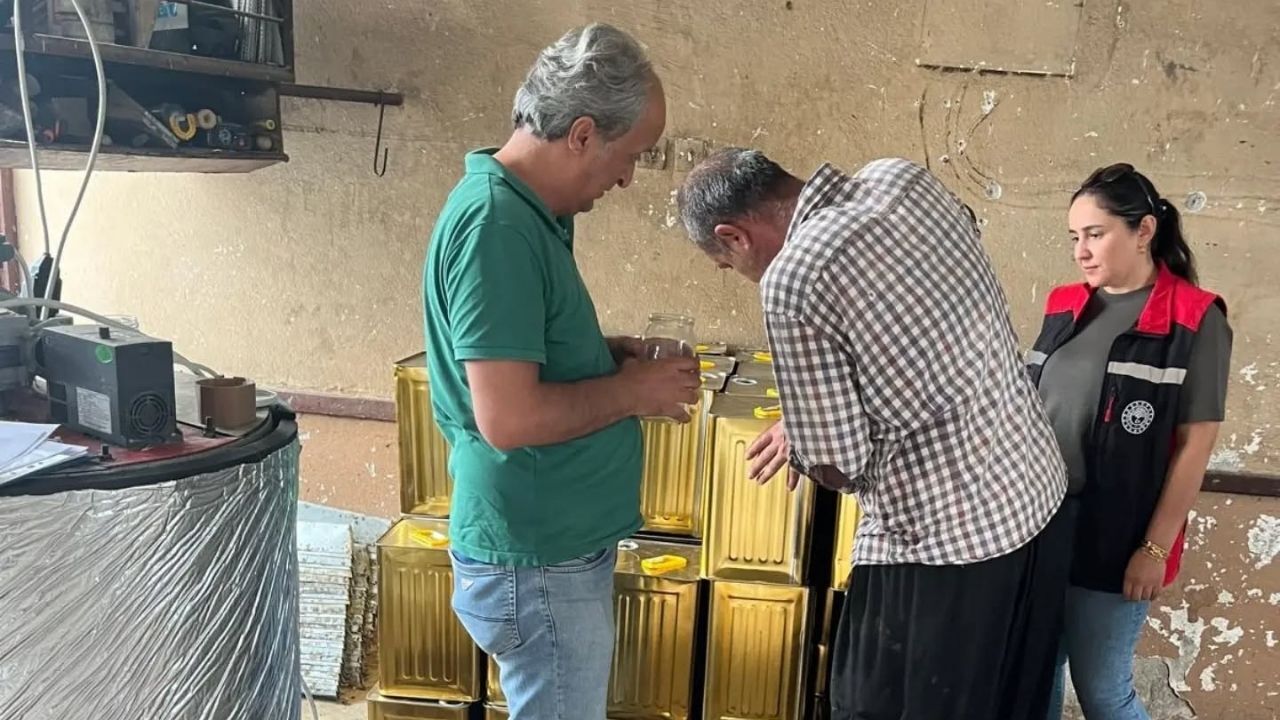 Kozan'ın Tescilli Lezzeti Mezla Balı Analizden Geçiyor (2)