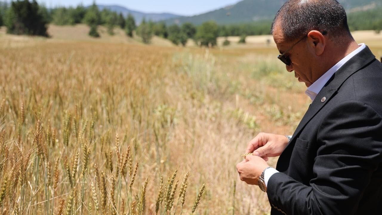 Saimbeyli'de Atıl Araziler Üretime Kazandırıldı (2)